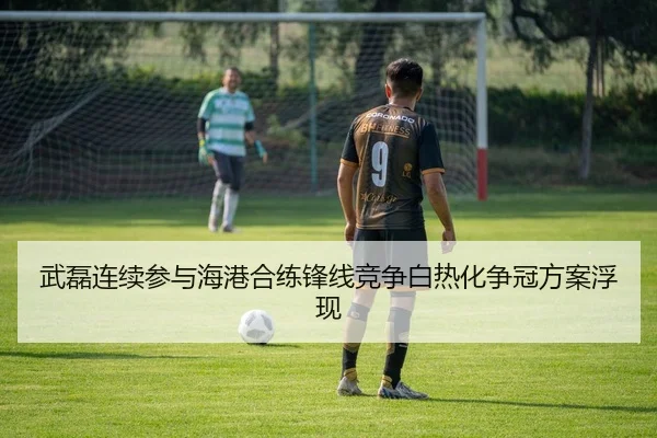 武磊连续参与海港合练锋线竞争白热化争冠方案浮现（YABO）